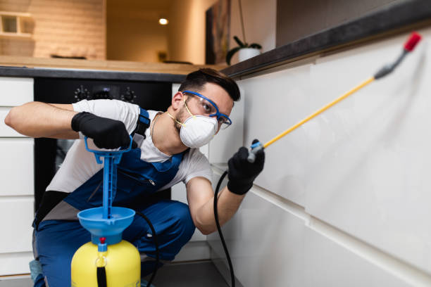Professional Pest Control in Mount Pleasant, TN