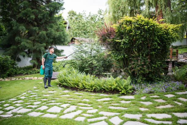 Best Commercial Pest Control Services  in Mount Pleasant, TN