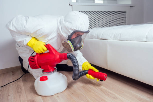 Best Cockroach Control Services  in Mount Pleasant, TN