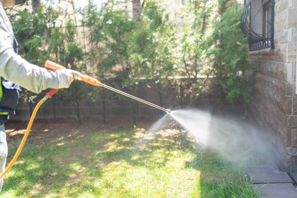 Best Mosquito Control Services  in Mount Pleasant, TN