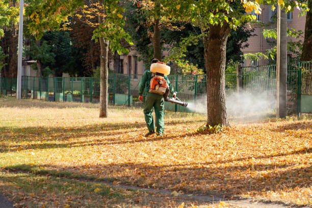 Best Ant Control Services  in Mount Pleasant, TN