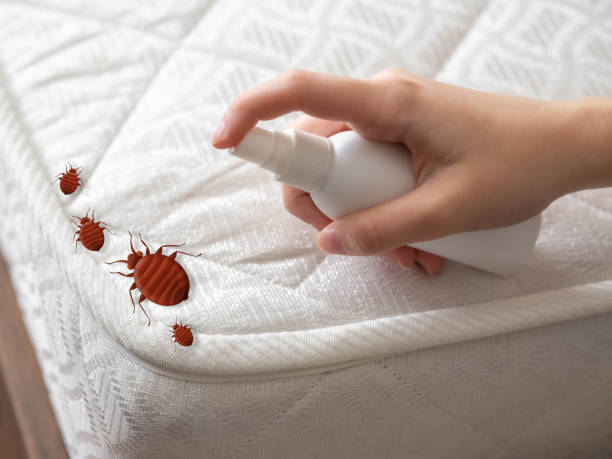 Best Wildlife Control Services  in Mount Pleasant, TN