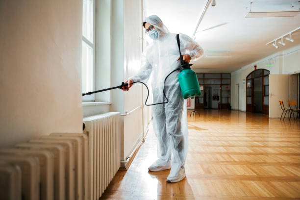 Best Affordable Pest Control Services  in Mount Pleasant, TN