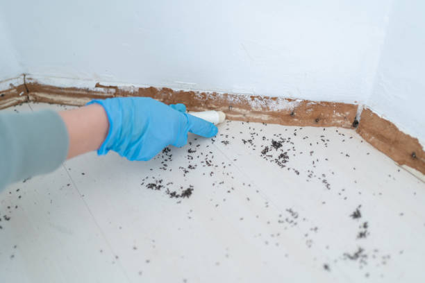 Best Exterminator Services  in Mount Pleasant, TN